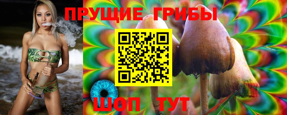 Псилоцибиновые грибы ЛСД Изобильный